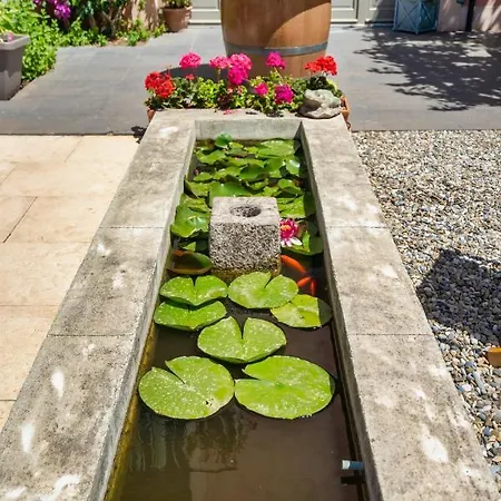 Guest house Limonade, Olonzac