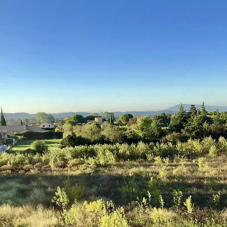 Limonade, Guest house 4*