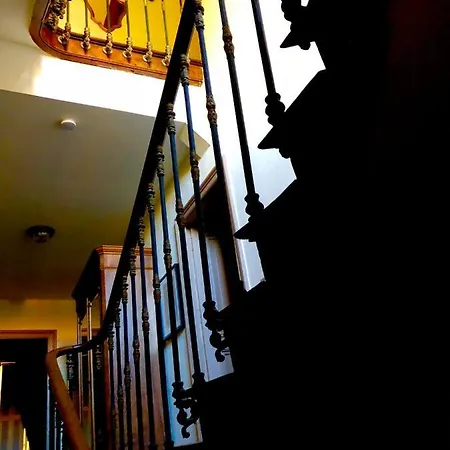 Guest house Limonade,